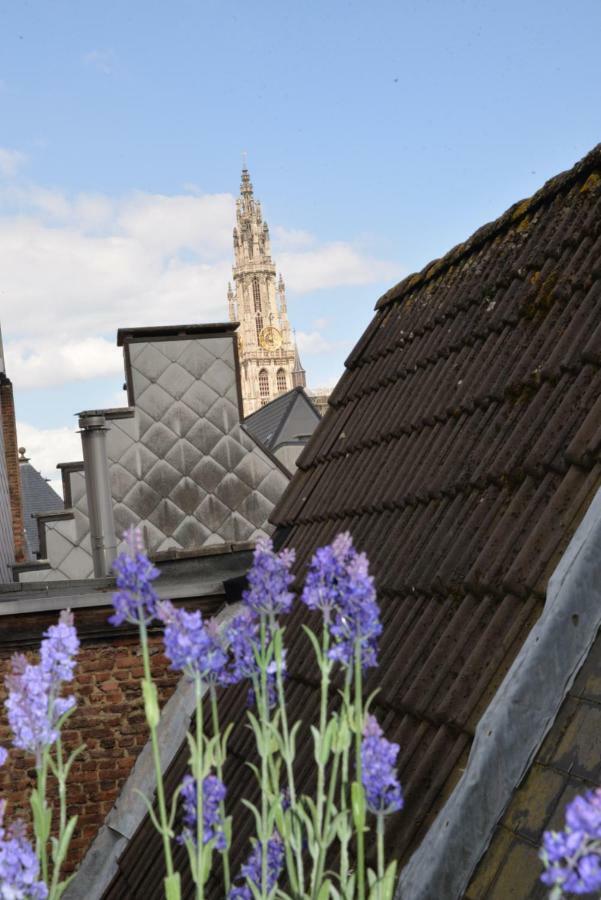 Huize Amoras Antwerpen Eksteriør bilde